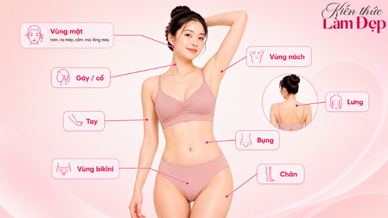 SHR ICE2 ứng dụng trên nhiều vùng da cơ thể