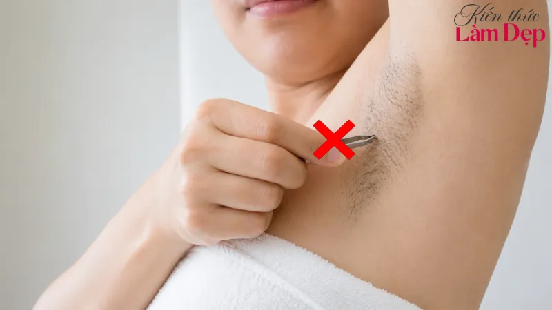 Bạn nên ngừng nhổ hoặc wax lông trước triệt